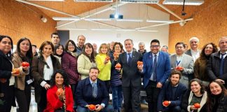 Reportaje | ProChile lanza en Quillota estudio clave para impulsar el tomate fresco de la Región de Valparaíso Reportaje | ProChile lanza en Quillota estudio clave para impulsar el tomate fresco de la Región de Valparaíso