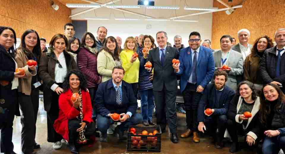 ProChile lanza en Quillota estudio clave para impulsar el tomate fresco de la Región de Valparaíso