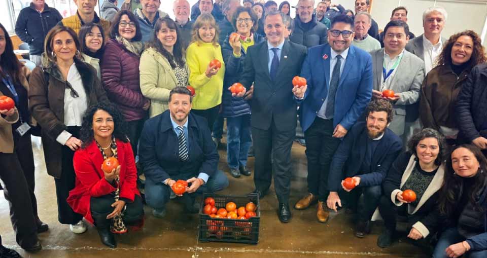 ProChile presenta estudio sobre exportación de tomate fresco y proyecciones para la oferta frutícola de la Región de Valparaíso ProChile presenta estudio sobre exportación de tomate fresco y proyecciones para la oferta frutícola de la Región de Valparaíso