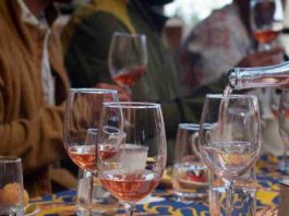 Programa IFI Itata impulsa inversión, innovación y trabajo colaborativo en el sector vitivinícola de Ñuble Programa IFI Itata impulsa inversión, innovación y trabajo colaborativo en el sector vitivinícola de Ñuble