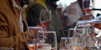Programa IFI Itata impulsa inversión, innovación y trabajo colaborativo en el sector vitivinícola de Ñuble
