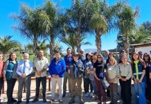 Programa de Arborización Urbana: 18 mil nuevos árboles para la Región Metropolitana Programa de Arborización Urbana 18 mil nuevos árboles para la Región Metropolitana