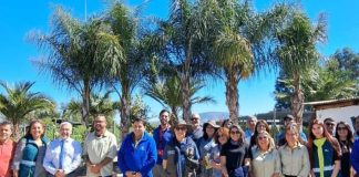 Programa de Arborización Urbana 18 mil nuevos árboles para la Región Metropolitana
