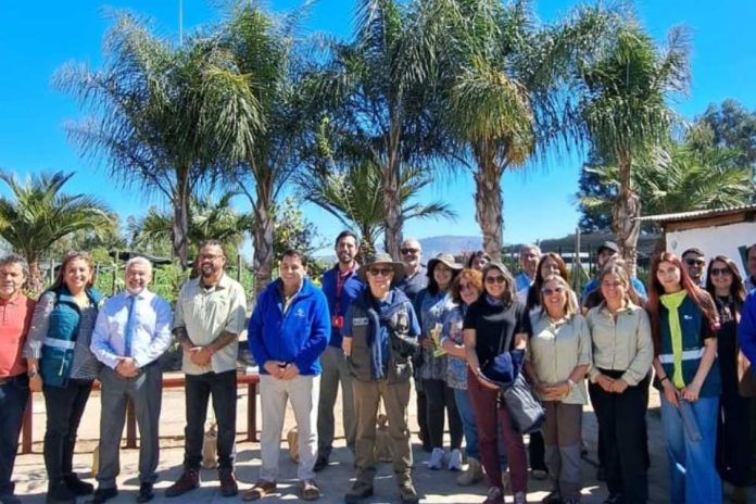 Programa de Arborización Urbana 18 mil nuevos árboles para la Región Metropolitana Programa de Arborización Urbana 18 mil nuevos árboles para la Región Metropolitana