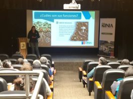INIA presentó alternativas biológicas y químicas para controlar nematodo que afecta a la frutilla INIA presentó alternativas biológicas y químicas para controlar nematodo que afecta a la frutilla