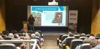 INIA presentó alternativas biológicas y químicas para controlar nematodo que afecta a la frutilla