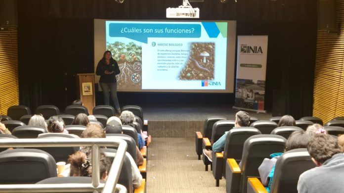 Proyecto-nuevo-3 INIA presentó alternativas biológicas y químicas para controlar nematodo que afecta a la frutilla