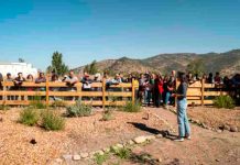 Reportaje | Apicultura regenerativa gana espacio como alternativa productiva en un contexto donde las abejas sostienen el 75% de los cultivos Reportaje | Apicultura regenerativa gana espacio como alternativa productiva en un contexto donde las abejas sostienen el 75% de los cultivos