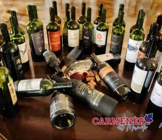 Reportaje | El valor del Carmenère en el mercado internacional