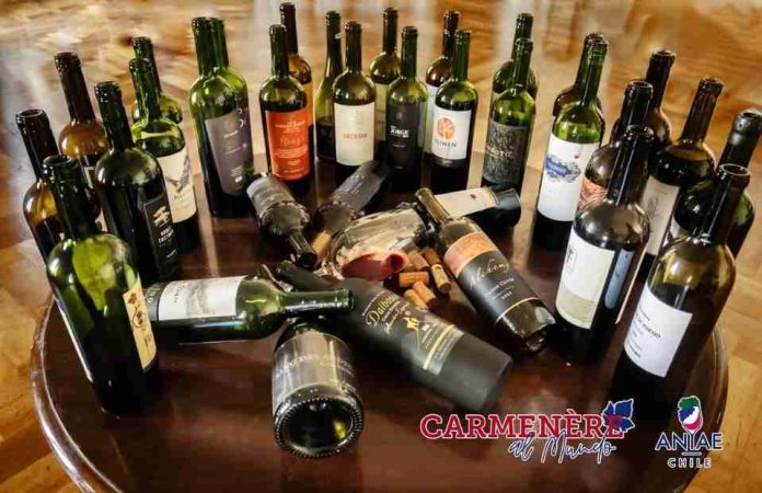 Reportaje | El valor del Carmenère en el mercado internacional