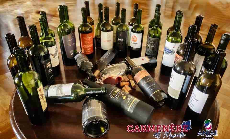 Reportaje | El valor del Carmenère en el mercado internacional Reportaje | El valor del Carmenère en el mercado internacional