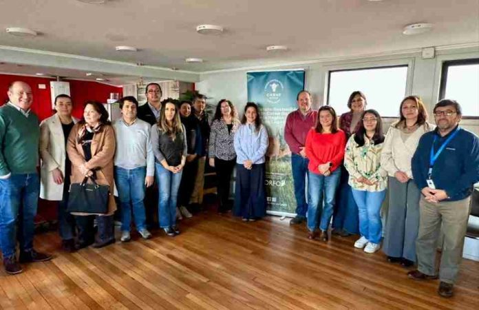 Reportaje | PTI de la Carne Bovina entra en etapa clave con foco en calidad y proyección regional