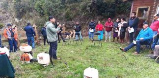 Noticia: Reportaje | Proyecto internacional impulsa uso seguro de plaguicidas y alternativas...
