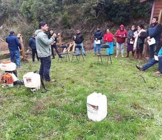 Reportaje | Proyecto internacional impulsa uso seguro de plaguicidas y alternativas biológicas entre productores de papa de Arauco
