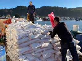 INDAP entrega praderas suplementarias para asegurar alimento animal en la región del Biobío INDAP entrega praderas suplementarias para asegurar alimento animal en la región del Biobío