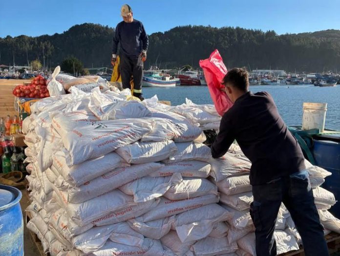 INDAP entrega praderas suplementarias para asegurar alimento animal en la región del Biobío