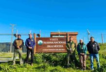 SAG, CONAF y BIDEMA refuerzan vigilancia preventiva y educación ambiental en Isla Mocha SAG, CONAF y BIDEMA refuerzan vigilancia preventiva y educación ambiental en Isla Mocha