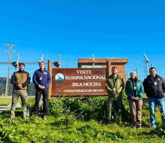 SAG, CONAF y BIDEMA refuerzan vigilancia preventiva y educación ambiental en Isla Mocha