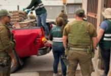 SAG Tarapacá desbarata centro de acopio de productos agropecuarios de ingreso clandestino en Alto Hospicio