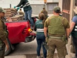 SAG Tarapacá desbarata centro de acopio de productos agropecuarios de ingreso clandestino en Alto Hospicio