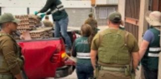 SAG Tarapacá desbarata centro de acopio de productos agropecuarios de ingreso clandestino en Alto Hospicio