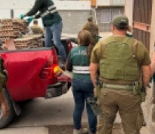 SAG Tarapacá desbarata centro de acopio de productos agropecuarios de ingreso clandestino en Alto Hospicio