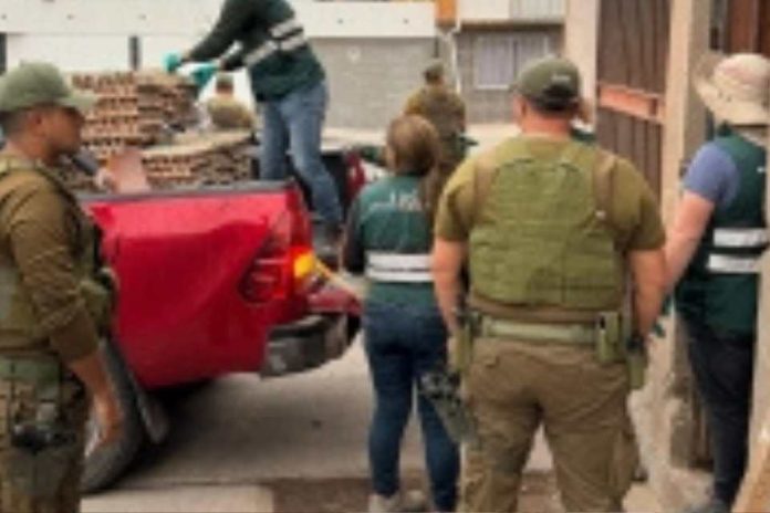 SAG Tarapacá desbarata centro de acopio de productos agropecuarios de ingreso clandestino en Alto Hospicio