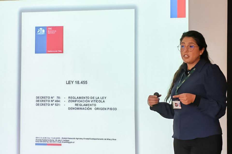 SAG capacita a productores de vinos de Itata para enfrentar exigencias de exportación SAG capacita a productores de vinos de Itata para enfrentar exigencias de exportación