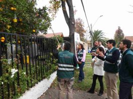SAG y Municipio de Las Condes refuerzan trabajo conjunto para eliminar foco de mosca de la fruta