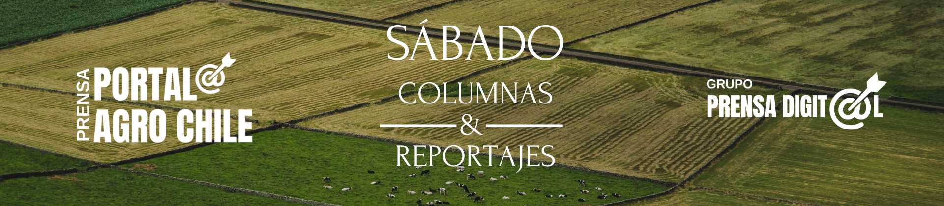 Sábado de Columnas y Reportajes Portal Agro Chile