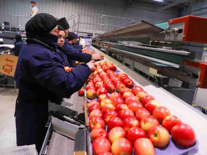 San Clemente Fruits ficha a Andrés Izquierdo para liderar una nueva etapa de crecimiento y proyección San Clemente Fruits ficha a Andrés Izquierdo para liderar una nueva etapa de crecimiento y proyección