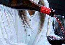 San Fernando se prepara para celebrar su Vendimia 2026 con foco en el vino y la identidad local y un gran show musical San Fernando se prepara para celebrar su Vendimia 2026 con foco en el vino y la identidad local y un gran show musical