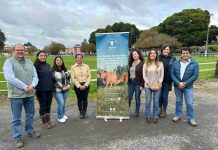 Sector bovino del sur proyecta su desarrollo con mirada de largo plazo