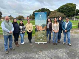 Sector bovino del sur proyecta su desarrollo con mirada de largo plazo