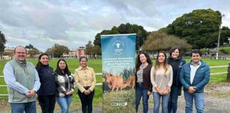 Sector bovino del sur proyecta su desarrollo con mirada de largo plazo