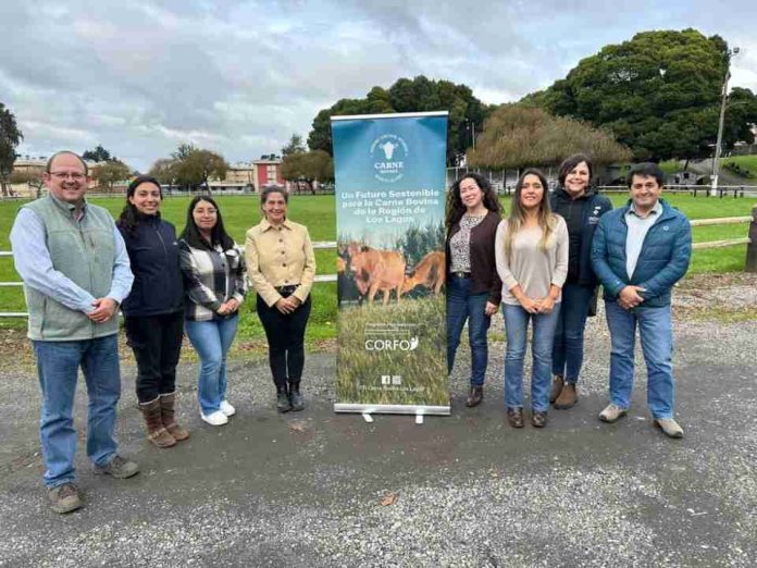 Sector bovino del sur proyecta su desarrollo con mirada de largo plazo