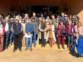 Seminario destacó innovación y tecnología como claves para la vitivinicultura del secano interior del Maule