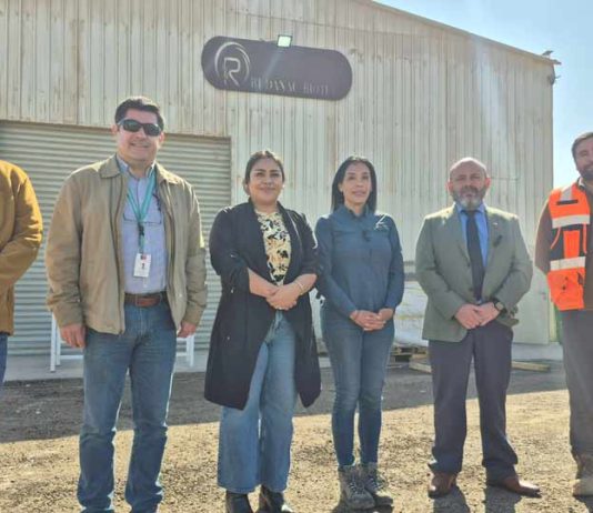 Startup Ciencia 2026: Rudanac Biotech impulsará soluciones sustentables para la minería y agricultura