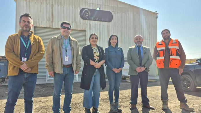 Startup Ciencia 2026: Rudanac Biotech impulsará soluciones sustentables para la minería y agricultura Startup Ciencia 2026: Rudanac Biotech impulsará soluciones sustentables para la minería y agricultura