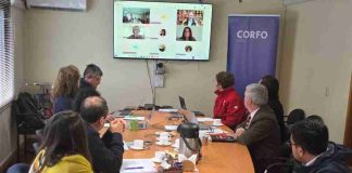 Subcomité de Fomento Productivo Corfo aprueba más de $330 millones para impulsar turismo, pymes y emprendimientos regionales