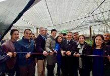 Subsecretario de Agricultura inaugura renovado Centro de Acopio en sector Chin chin y oficinas de CONAF en Puerto Montt Subsecretario de Agricultura inaugura renovado Centro de Acopio en sector Chin chin y oficinas de CONAF en Puerto Montt