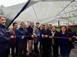 Subsecretario de Agricultura inaugura renovado Centro de Acopio en sector Chin chin y oficinas de CONAF en Puerto Montt Subsecretario de Agricultura inaugura renovado Centro de Acopio en sector Chin chin y oficinas de CONAF en Puerto Montt