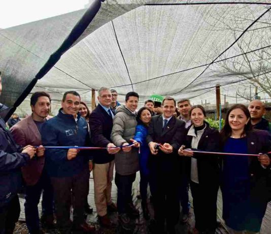 Subsecretario de Agricultura inaugura renovado Centro de Acopio en sector Chin chin y oficinas de CONAF en Puerto Montt Subsecretario de Agricultura inaugura renovado Centro de Acopio en sector Chin chin y oficinas de CONAF en Puerto Montt