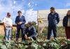 Subsecretario de Agricultura releva en provincia de Melipilla soluciones productivas y de gestión hídrica para el agro