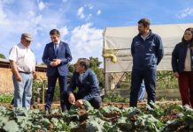 Subsecretario de Agricultura releva en provincia de Melipilla soluciones productivas y de gestión hídrica para el agro