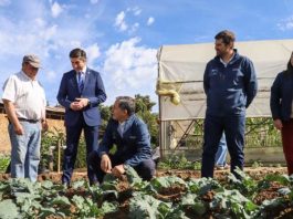 Subsecretario de Agricultura releva en provincia de Melipilla soluciones productivas y de gestión hídrica para el agro