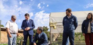 Subsecretario de Agricultura releva en provincia de Melipilla soluciones productivas y de gestión hídrica para el agro
