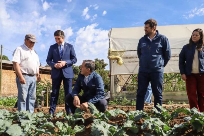 Subsecretario de Agricultura releva en provincia de Melipilla soluciones productivas y de gestión hídrica para el agro