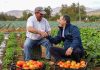 Subsecretario de Agricultura releva en provincia de Melipilla soluciones productivas y de gestión hídrica para el agro
