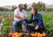 Subsecretario de Agricultura releva en provincia de Melipilla soluciones productivas y de gestión hídrica para el agro